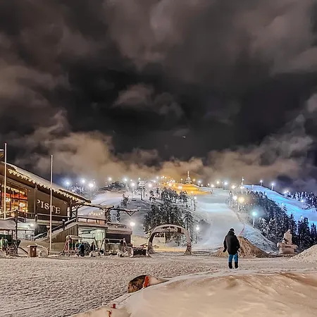 Apartment Ruka Ski Chalets *
