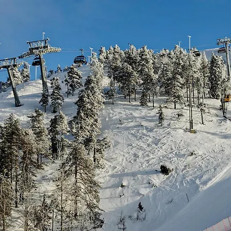 Apartment Ruka Ski Chalets *